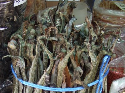 Dried snakes in a street market